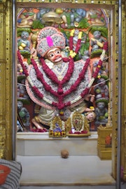 Vadtal Temple Murti Darshan