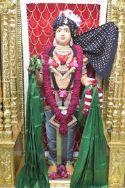 Vadtal Temple Murti Darshan