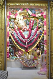 Vadtal Temple Murti Darshan