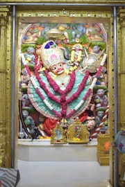 Vadtal Temple Murti Darshan