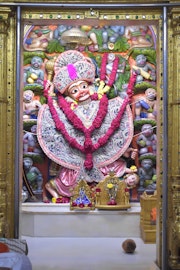 Vadtal Temple Murti Darshan