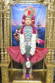 Vadtal Temple Murti Darshan