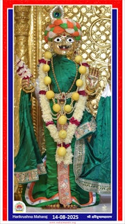 Vadtal Temple Murti Darshan