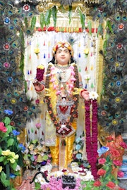 Vadtal Temple Murti Darshan