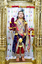 Vadtal Temple Murti Darshan