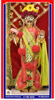 Vadtal Temple Murti Darshan