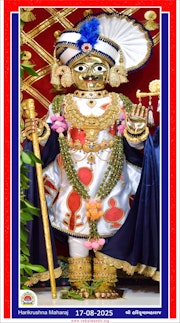 Vadtal Temple Murti Darshan