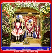 Vadtal Temple Murti Darshan