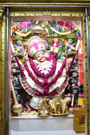 Vadtal Temple Murti Darshan