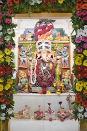 Vadtal Temple Murti Darshan