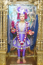 Vadtal Temple Murti Darshan
