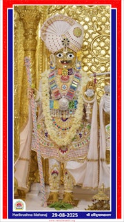 Vadtal Temple Murti Darshan