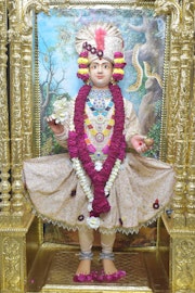Vadtal Temple Murti Darshan