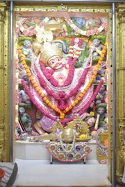 Vadtal Temple Murti Darshan