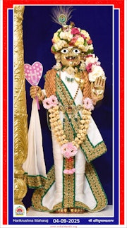 Vadtal Temple Murti Darshan