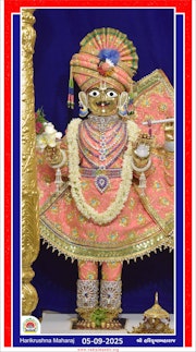 Vadtal Temple Murti Darshan