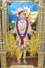 Vadtal Temple Murti Darshan