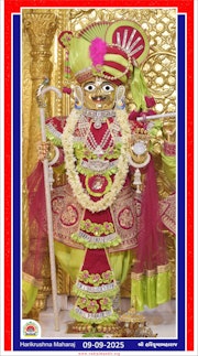 Vadtal Temple Murti Darshan