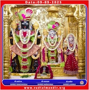 Vadtal Temple Murti Darshan