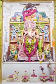 Vadtal Temple Murti Darshan