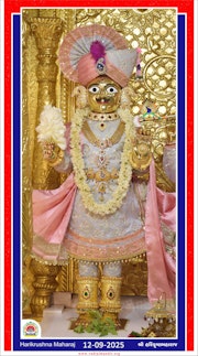 Vadtal Temple Murti Darshan