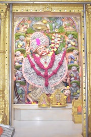 Vadtal Temple Murti Darshan