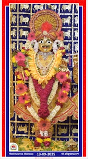 Vadtal Temple Murti Darshan