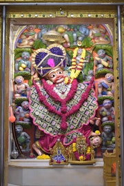 Vadtal Temple Murti Darshan