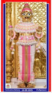 Vadtal Temple Murti Darshan