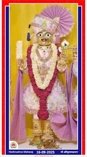 Vadtal Temple Murti Darshan
