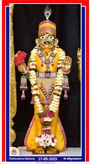 Vadtal Temple Murti Darshan