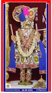 Vadtal Temple Murti Darshan
