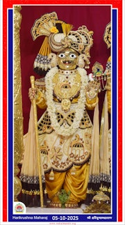 Vadtal Temple Murti Darshan