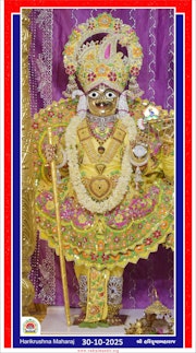 Vadtal Temple Murti Darshan