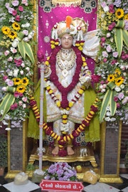 Vadtal Temple Murti Darshan