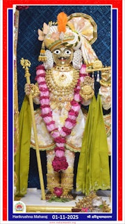 Vadtal Temple Murti Darshan