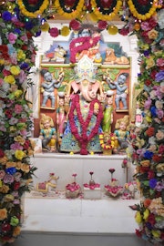 Vadtal Temple Murti Darshan