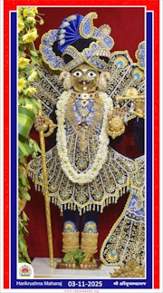 Vadtal Temple Murti Darshan