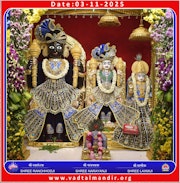 Vadtal Temple Murti Darshan
