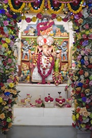 Vadtal Temple Murti Darshan