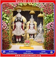 Vadtal Temple Murti Darshan