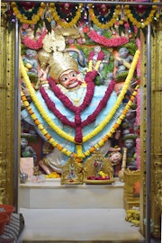 Vadtal Temple Murti Darshan
