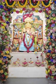 Vadtal Temple Murti Darshan
