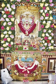 Vadtal Temple Murti Darshan