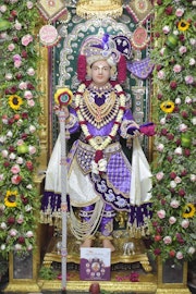 Vadtal Temple Murti Darshan