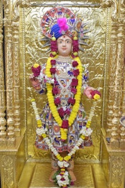 Vadtal Temple Murti Darshan
