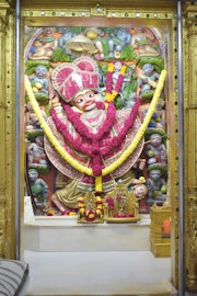 Vadtal Temple Murti Darshan