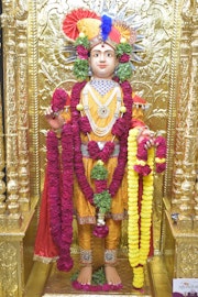 Vadtal Temple Murti Darshan