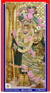 Vadtal Temple Murti Darshan