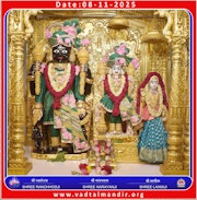 Vadtal Temple Murti Darshan